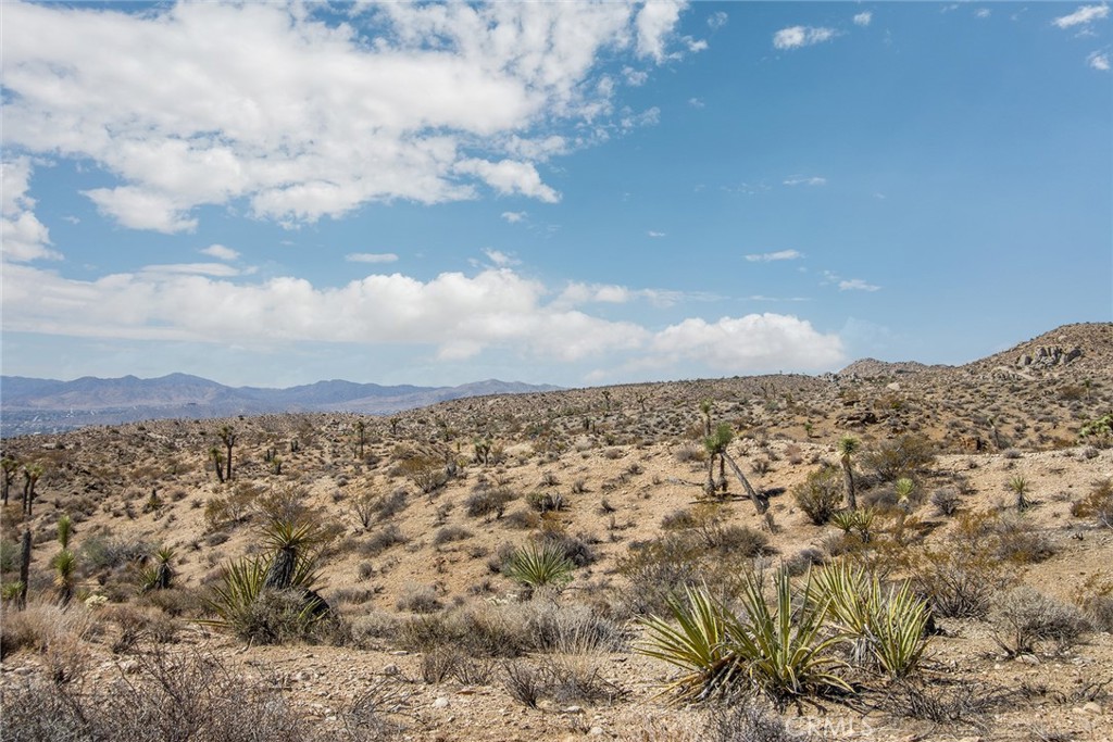 MLS #JT25196645 image #14