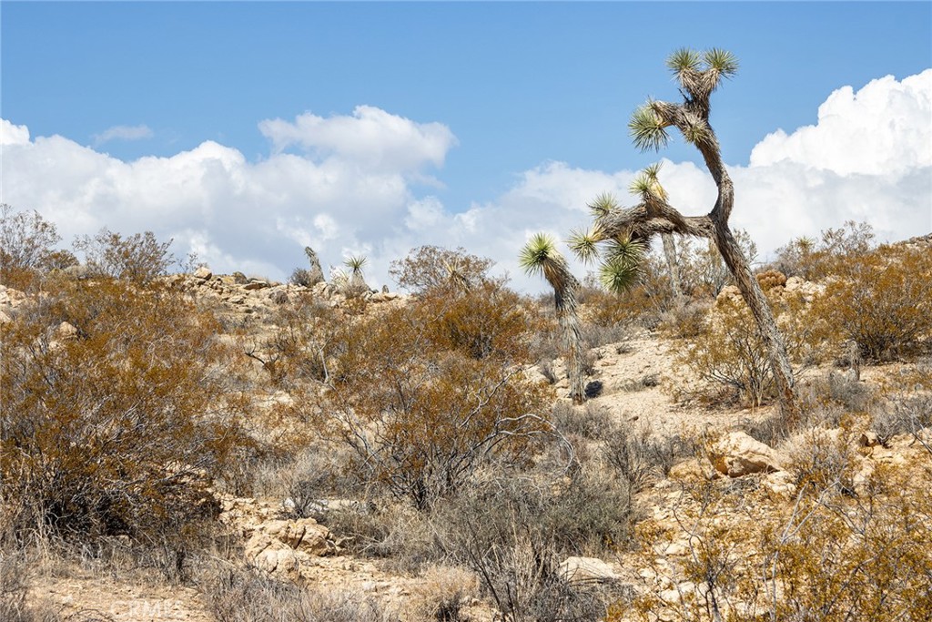 MLS #JT25196645 image #15