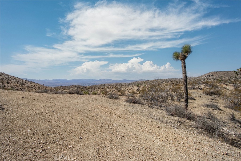 MLS #JT25196645 image #18