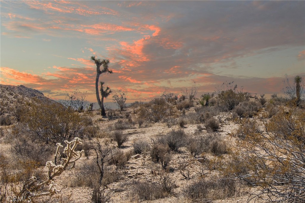 MLS #JT25196645 image #2