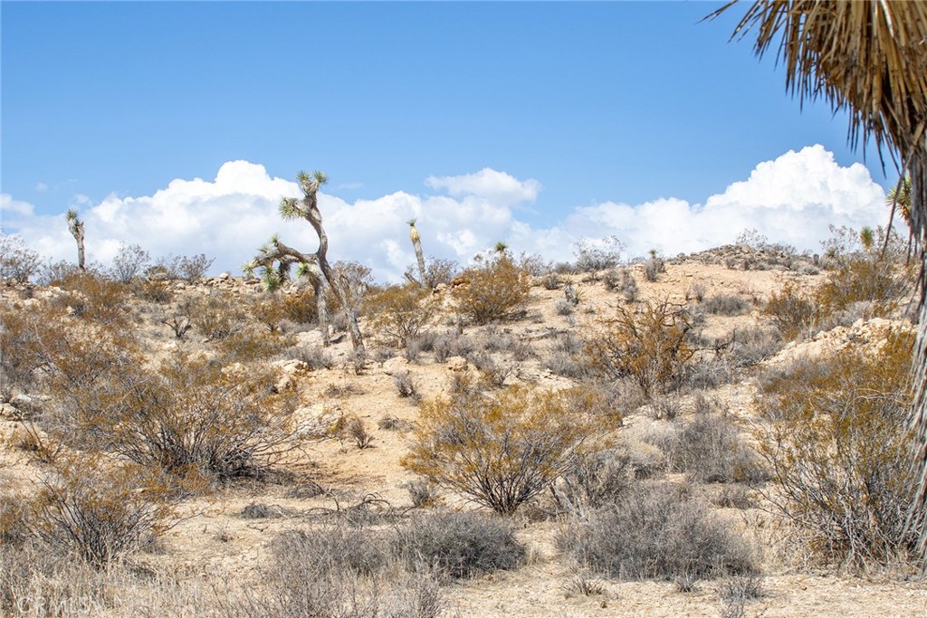 MLS #JT25196645 image #20