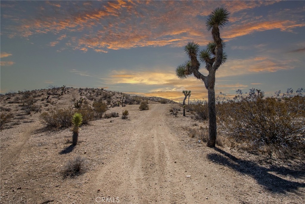 MLS #JT25196645 image #4