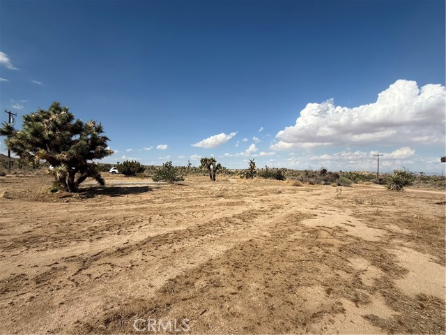 MLS #JT25196970 image #4