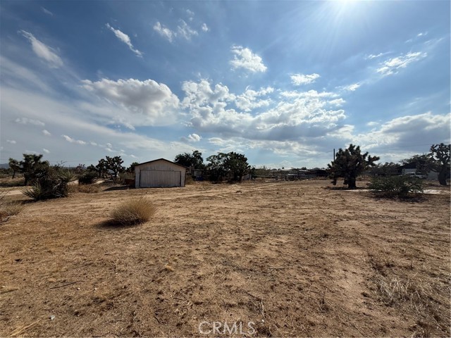 MLS #JT25196970 image #5