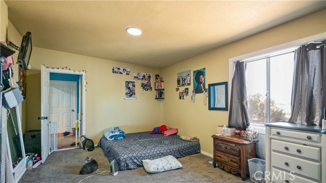 MLS #JT25198387 image #14