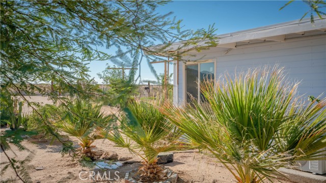 MLS #JT25198387 image #32