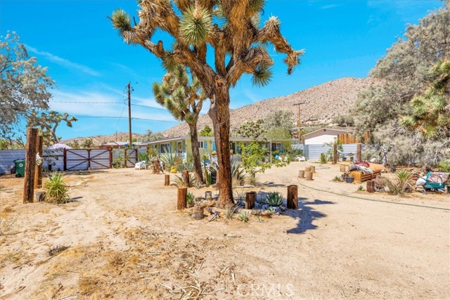 MLS #JT25199954 image #11