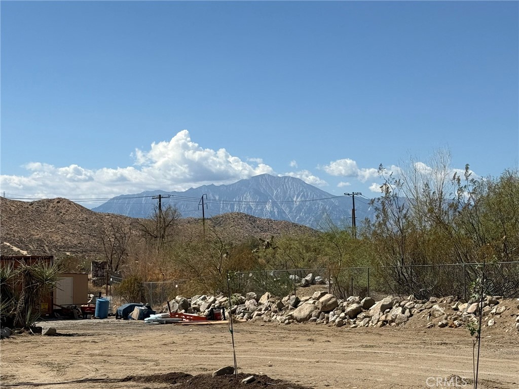 MLS #JT25200144 image #23