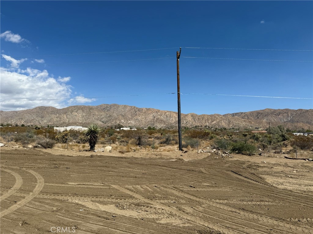 MLS #JT25200144 image #26