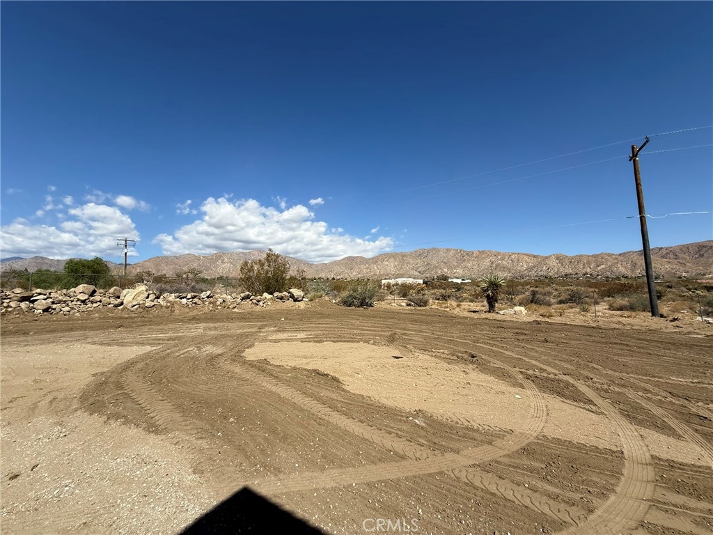 MLS #JT25200144 image #29