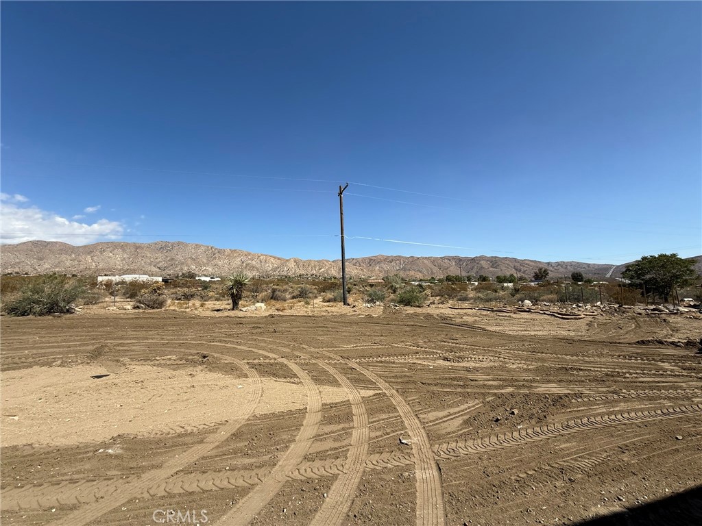 MLS #JT25200144 image #30