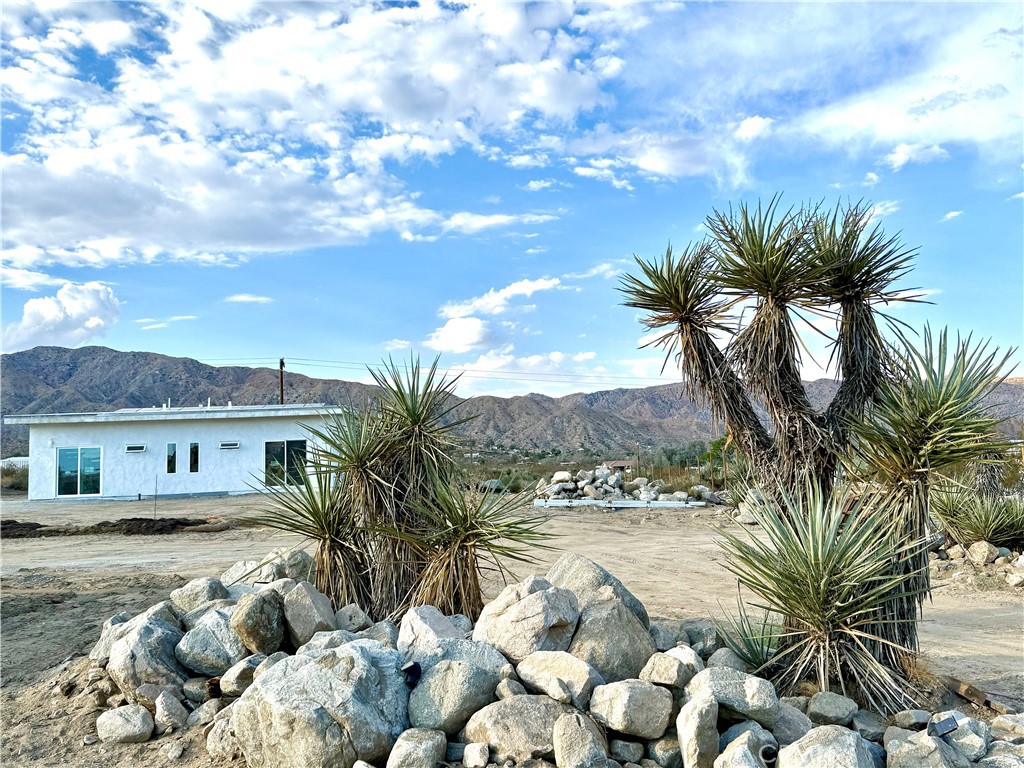 MLS #JT25200144 image #33