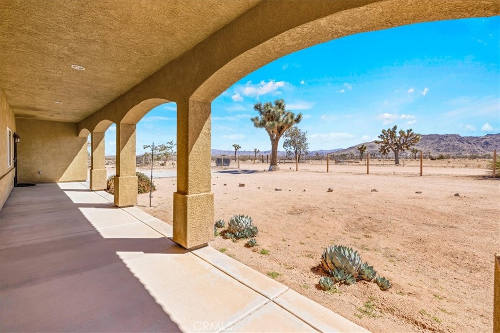 MLS #JT25200228 image #6