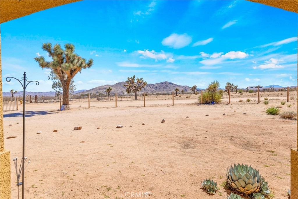 MLS #JT25200228 image #7