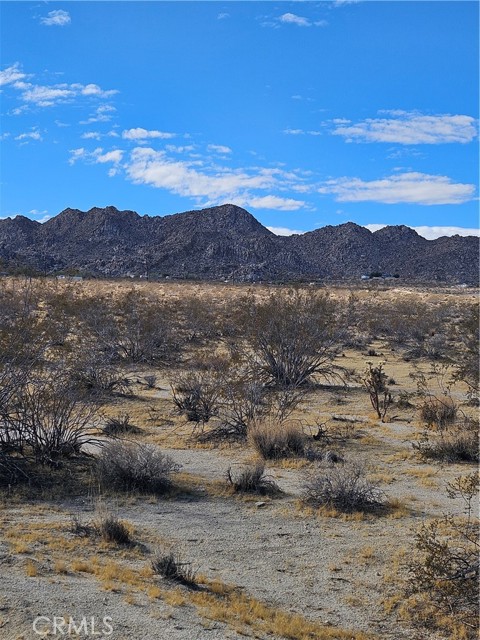 MLS #JT25200338 image #1