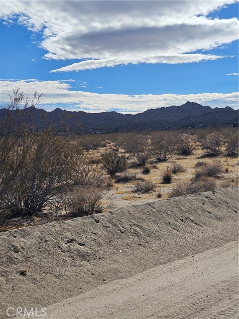 MLS #JT25200338 image #3