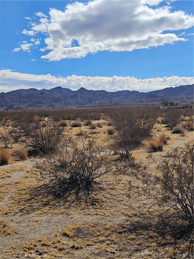 MLS #JT25200350 image #2