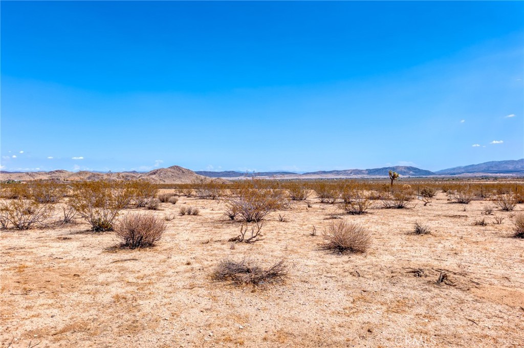 MLS #JT25200422 image #10