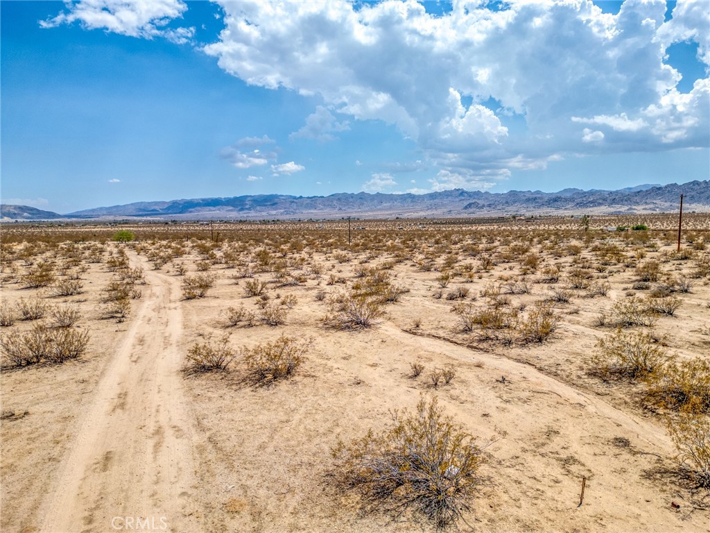 MLS #JT25200422 image #12