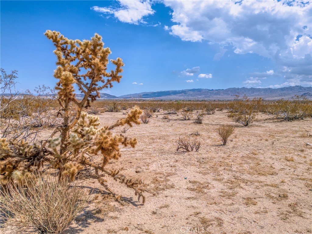 MLS #JT25200422 image #13