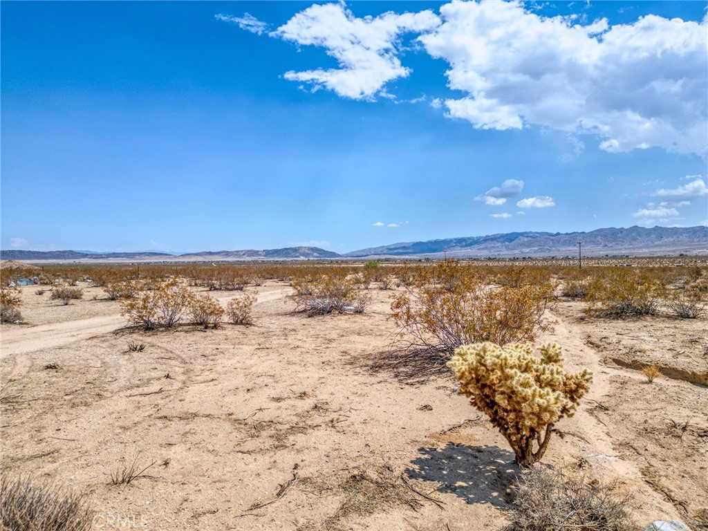 MLS #JT25200422 image #14