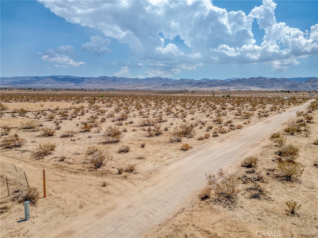 MLS #JT25200422 image #16