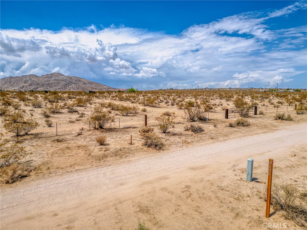 MLS #JT25200422 image #19