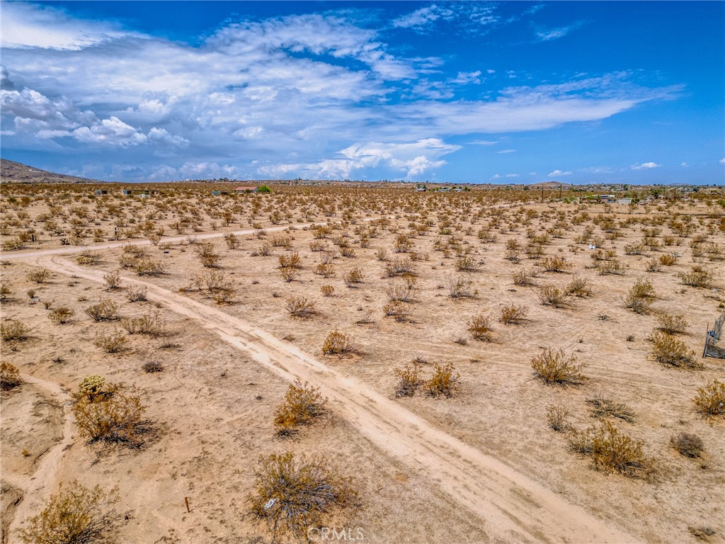 MLS #JT25200422 image #23