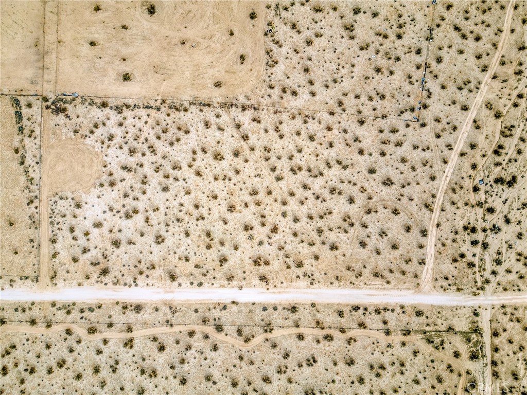 MLS #JT25200422 image #31