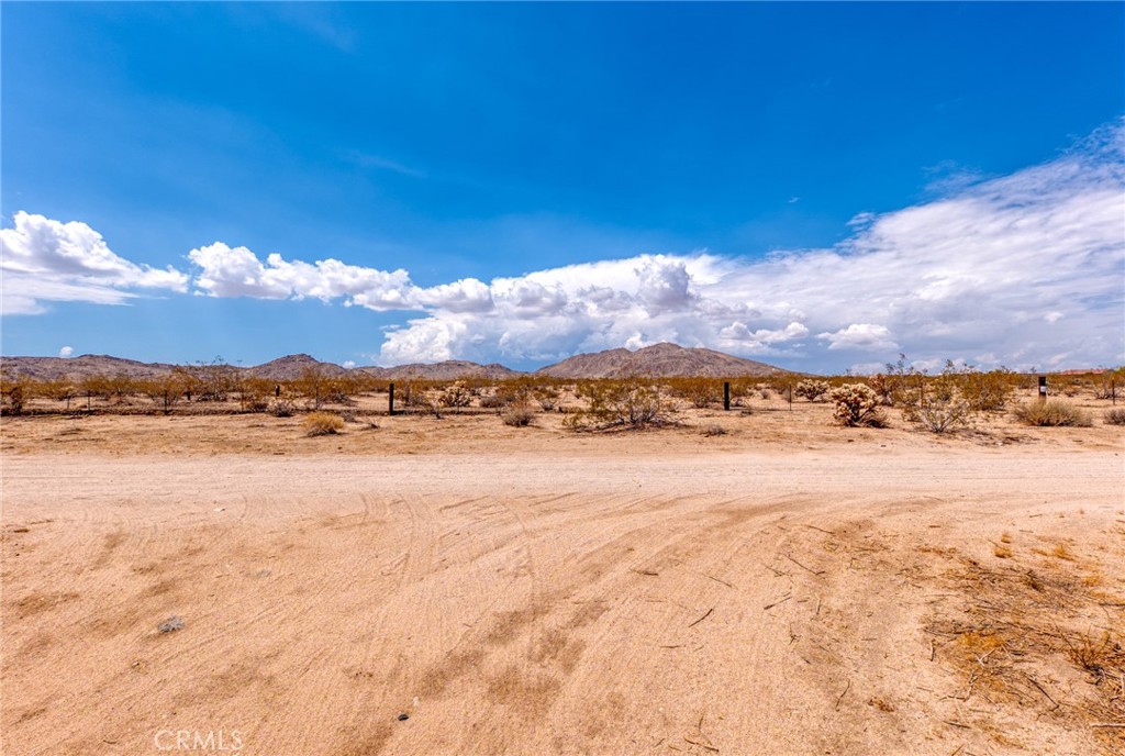 MLS #JT25200422 image #36