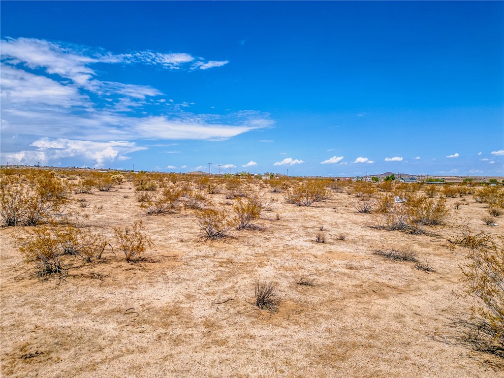 MLS #JT25200422 image #37