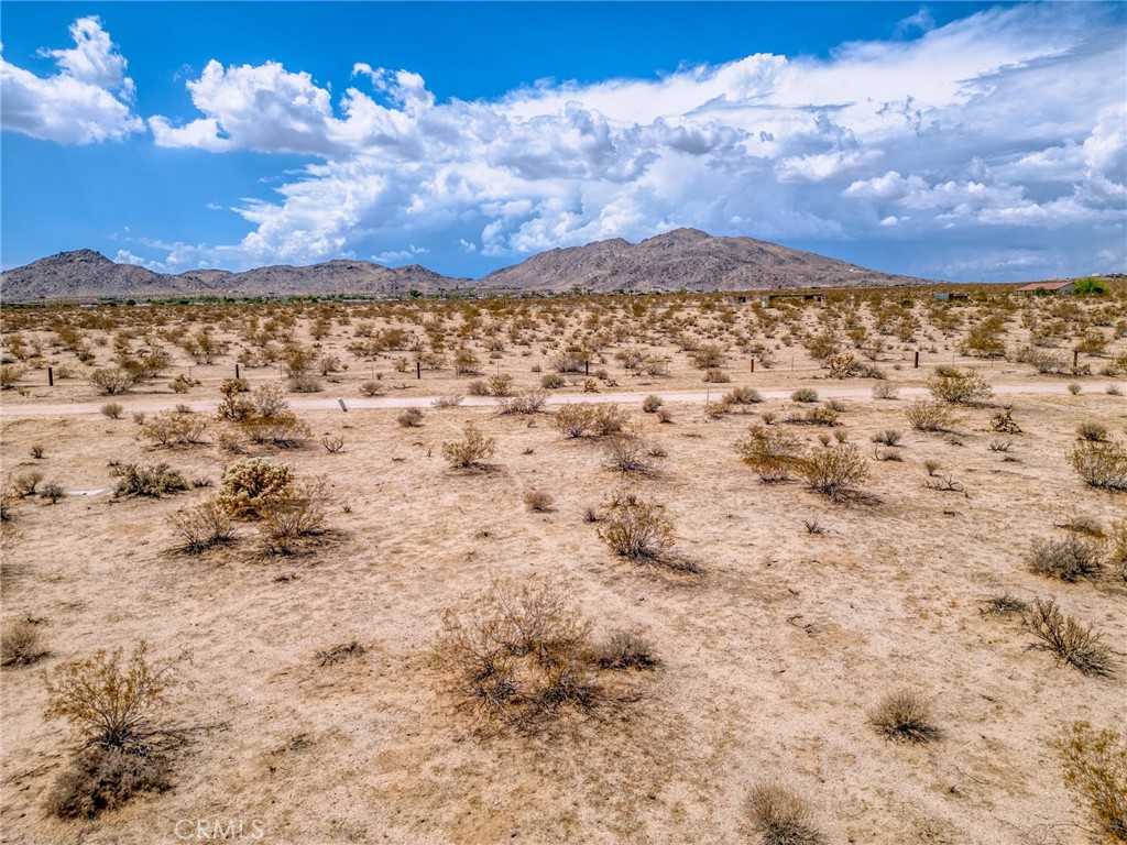 MLS #JT25200422 image #4