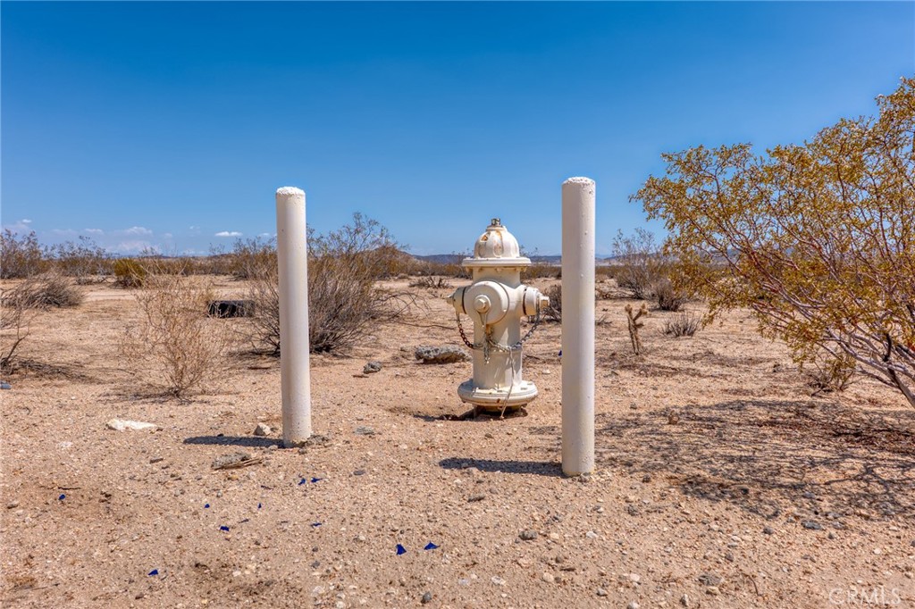 MLS #JT25200422 image #5