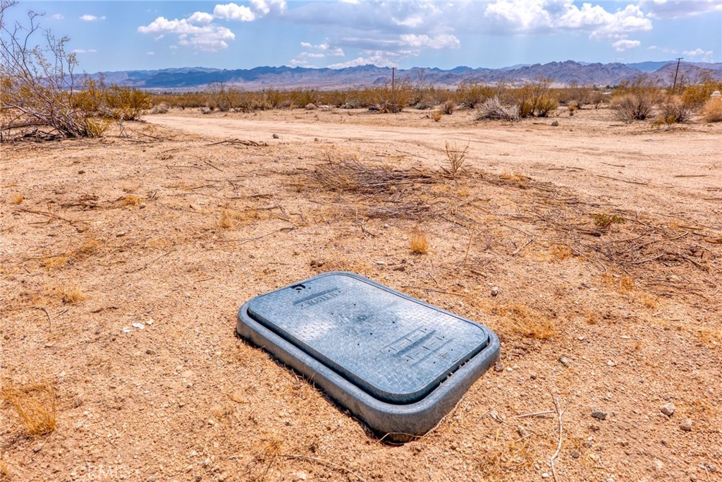 MLS #JT25200422 image #6