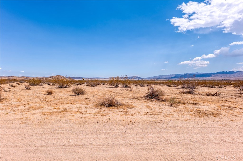 MLS #JT25200422 image #8