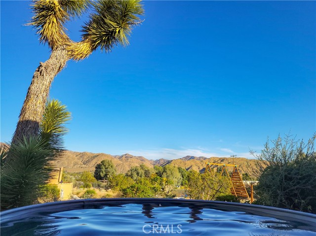 MLS #JT25201801 image #29