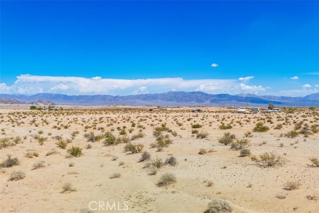 MLS #JT25202139 image #10