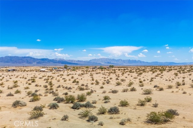 MLS #JT25202139 image #12