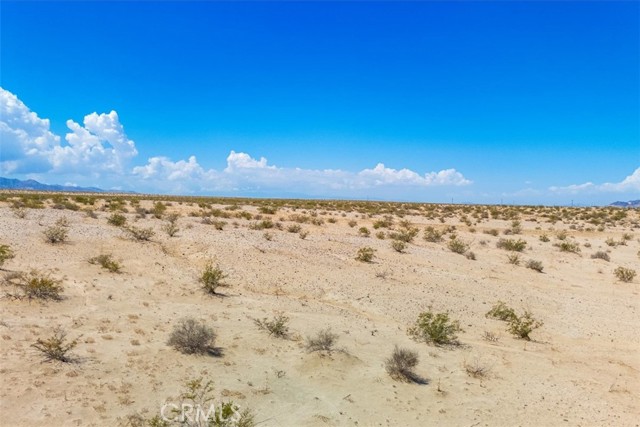 MLS #JT25202139 image #13