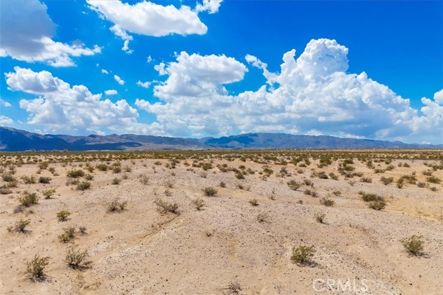 MLS #JT25202139 image #14