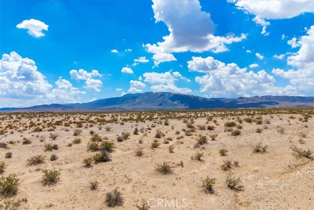 MLS #JT25202139 image #15