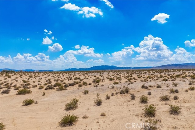 MLS #JT25202139 image #16