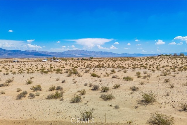 MLS #JT25202139 image #2