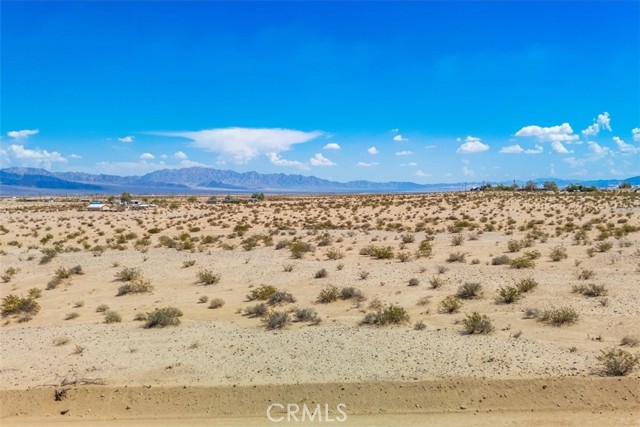 MLS #JT25202139 image #3