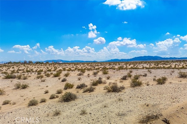 MLS #JT25202139 image #4