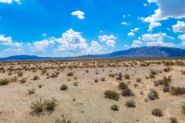 MLS #JT25202139 image #5