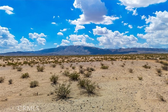 MLS #JT25202139 image #6