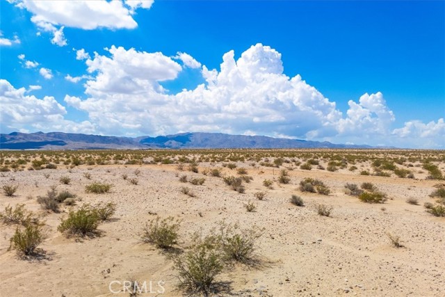 MLS #JT25202139 image #7