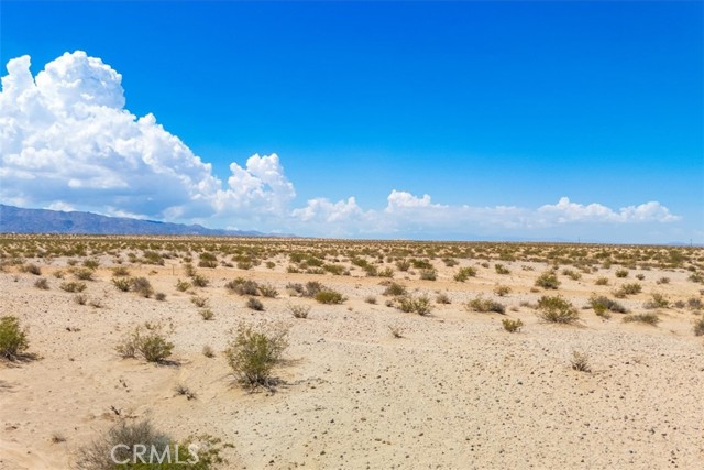 MLS #JT25202139 image #8