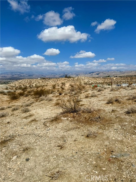 MLS #JT25206687 image #1